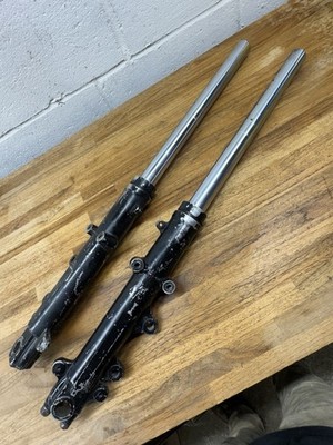 Motorcycle Front Fork Assembly 75mm Tubes 30in OAL Dual Disc Unknown Fitment